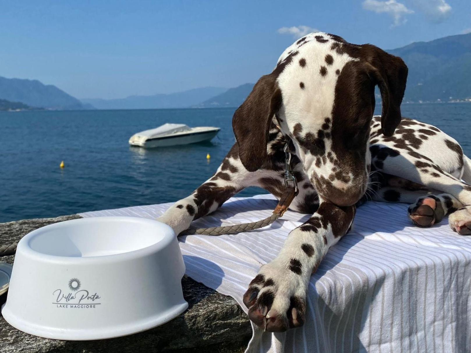 Relais Villa Porta Luino Εξωτερικό φωτογραφία